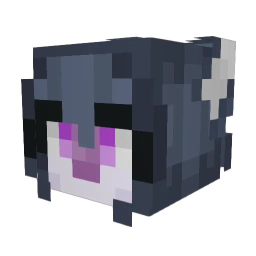 Shaulrs Minecraft avatar head, 3D render