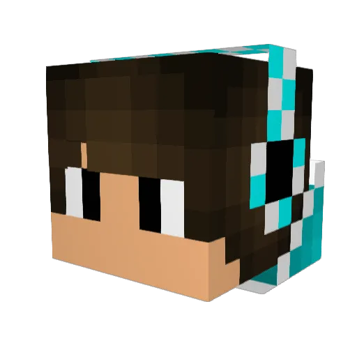 Shaun1295 Minecraft avatar head, 3D render