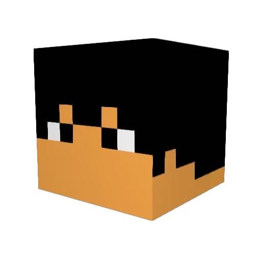Shaun2630 Minecraft avatar head, 3D render