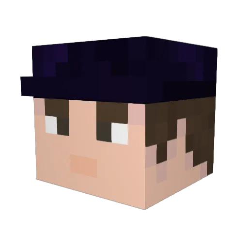 Shaun41902 Minecraft avatar head, 3D render