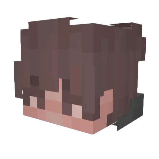Shaun487 Minecraft avatar head, 3D render