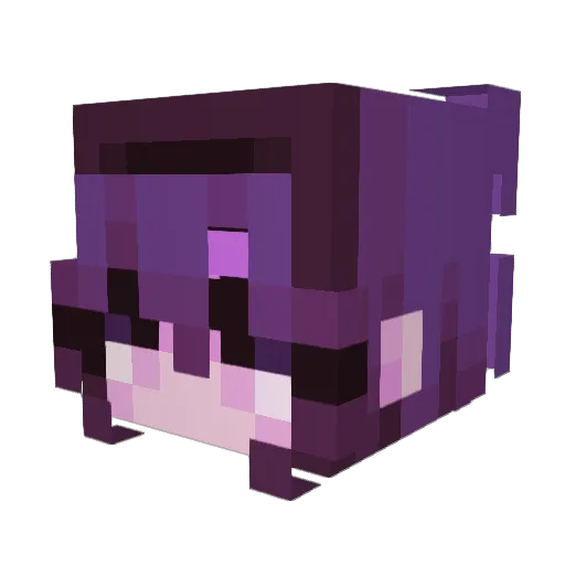 ShaunFlowers Minecraft avatar head, 3D render