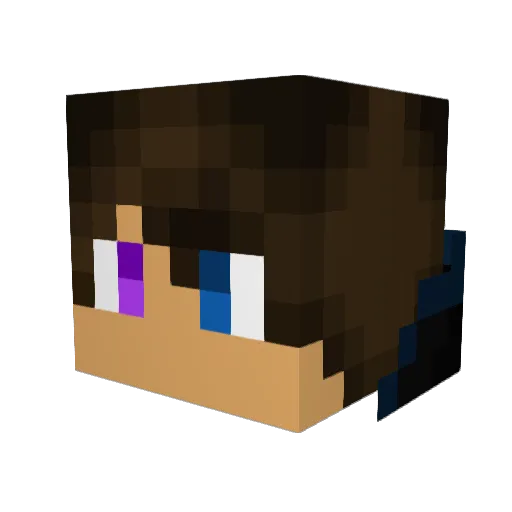 Shaun_Gamez Minecraft avatar head, 3D render