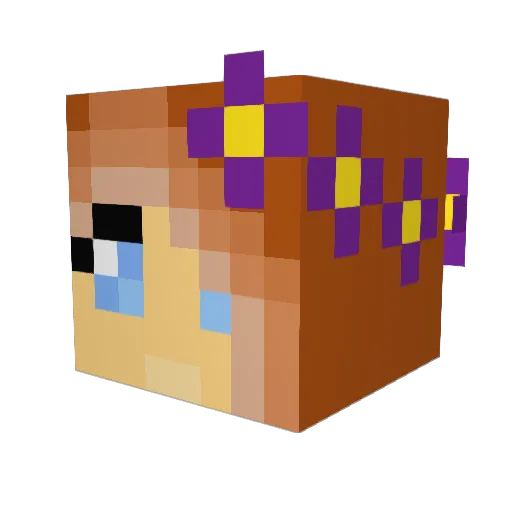 Shauna700000 Minecraft avatar head, 3D render