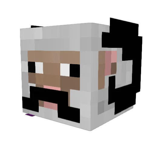 Shaunobr Minecraft avatar head, 3D render