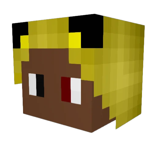 Shaunsha Minecraft avatar head, 3D render