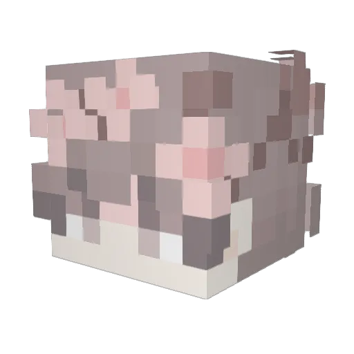 Shaunstriker Minecraft avatar head, 3D render