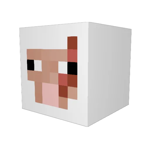 Shauun_Sheep Minecraft avatar head, 3D render