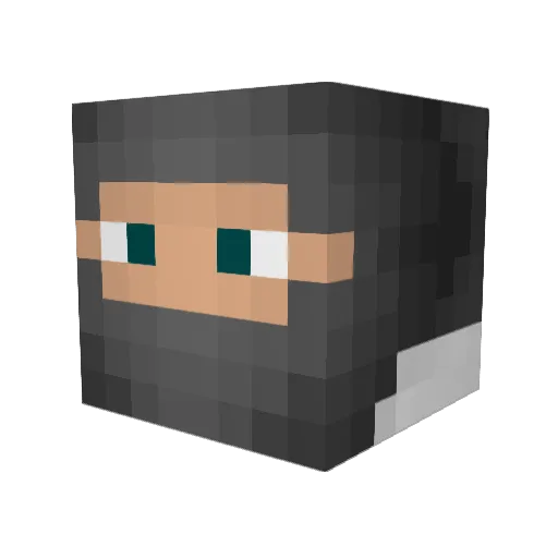 Shauwn Minecraft avatar head, 3D render