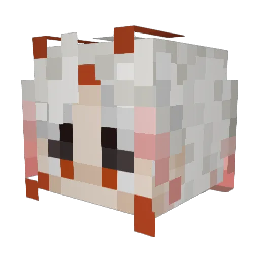 Shauwun Minecraft avatar head, 3D render