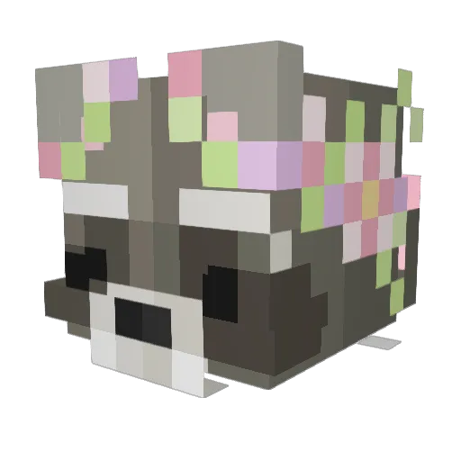 Shavasi Minecraft avatar head, 3D render