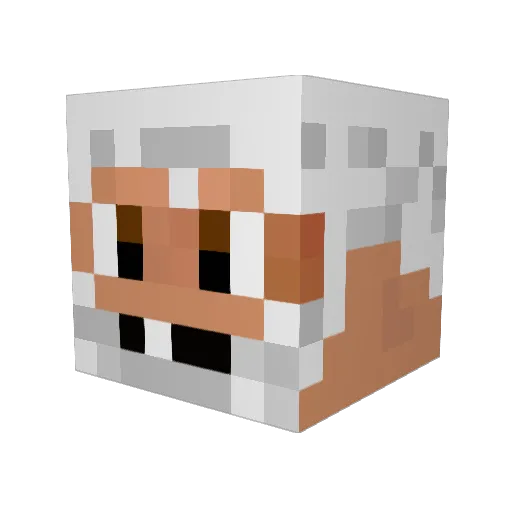 ShawLeBG Minecraft avatar head, 3D render