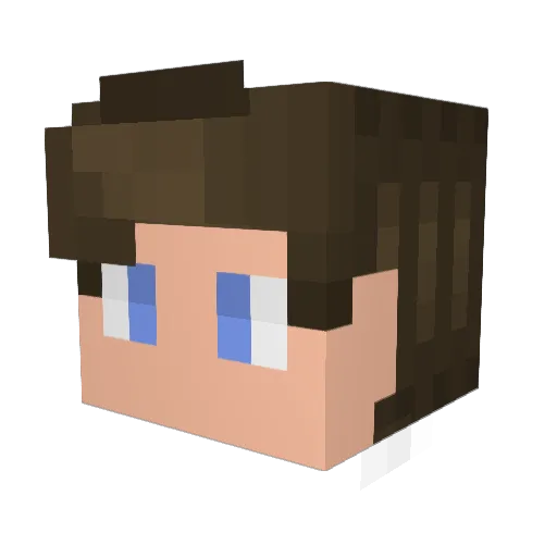 ShawTRANQUILAO Minecraft avatar head, 3D render