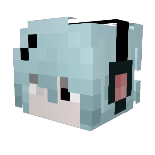 ShawTalon Minecraft avatar head, 3D render
