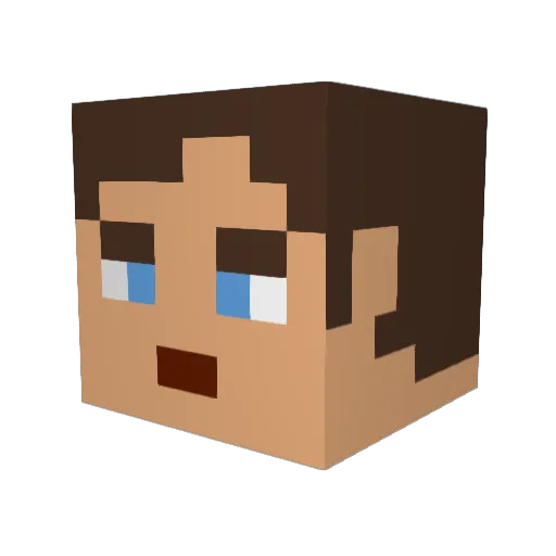 Shawan05 Minecraft avatar head, 3D render