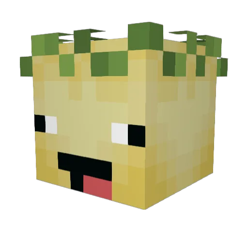 Shawarma333 Minecraft avatar head, 3D render