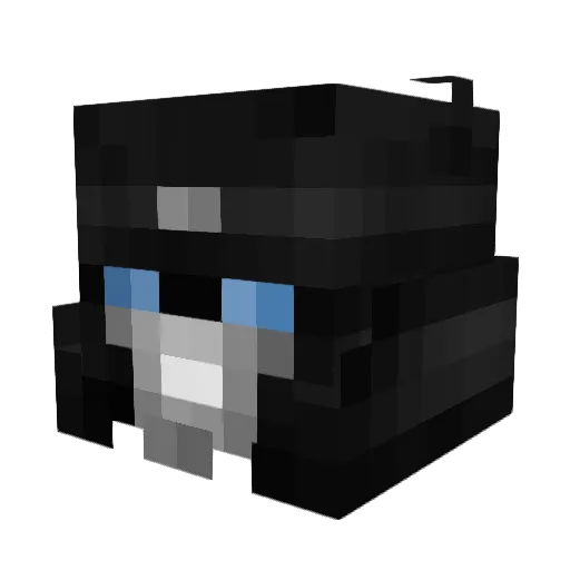 Shaweet Minecraft avatar head, 3D render