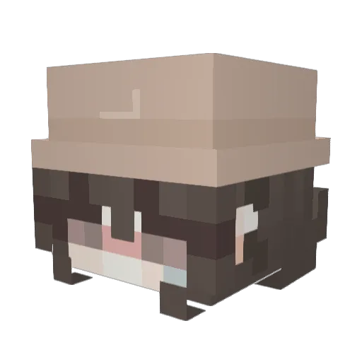 Shawn1206 Minecraft avatar head, 3D render