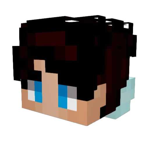 Shawn4akaHayden Minecraft avatar head, 3D render