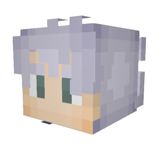 Shawn55_yt Minecraft avatar head, 3D render