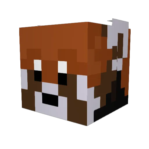Shawn574 Minecraft avatar head, 3D render