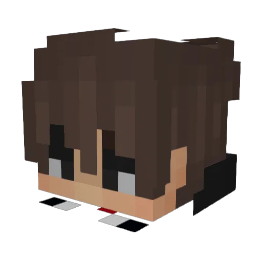 Shawn724 Minecraft avatar head, 3D render
