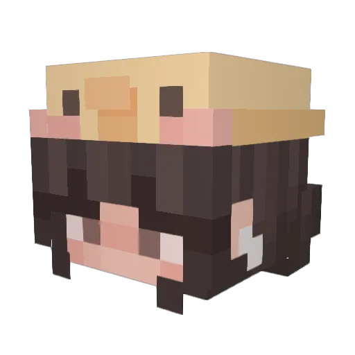 ShawnGaming2007 Minecraft avatar head, 3D render