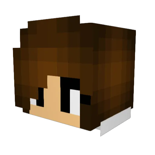 ShawnMegan Minecraft avatar head, 3D render