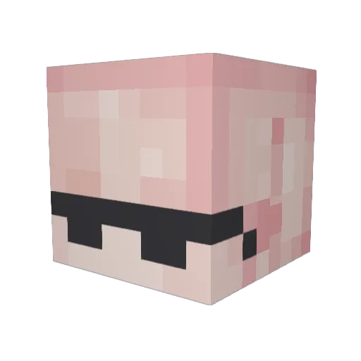 ShawnNieja Minecraft avatar head, 3D render