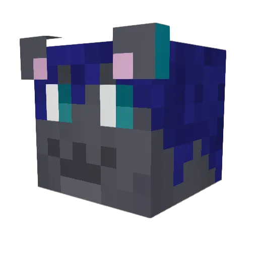 Shawn_Stone Minecraft avatar head, 3D render