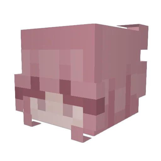 ShawnaKate96 Minecraft avatar head, 3D render