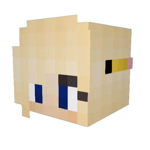 Shawna_Bieber Minecraft avatar head, 3D render