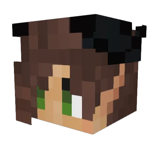 Shawnabug6 Minecraft avatar head, 3D render