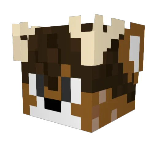 Shawnboo Minecraft avatar head, 3D render