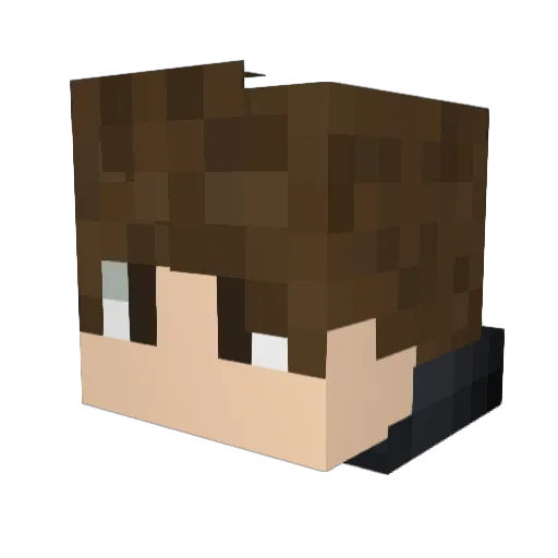 Shawned Minecraft avatar head, 3D render