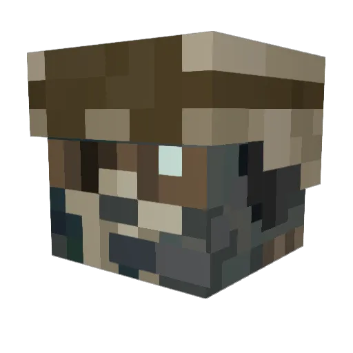 Shawnjr Minecraft avatar head, 3D render