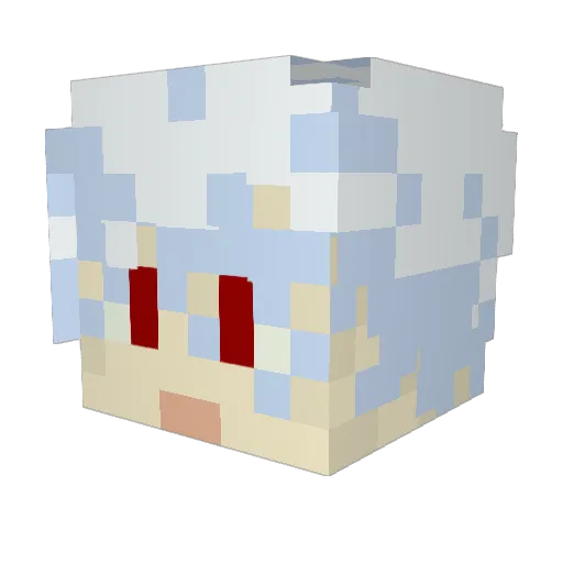 Shawnnnnnn Minecraft avatar head, 3D render