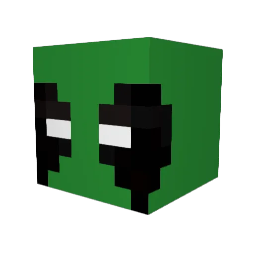 Shawnsv Minecraft avatar head, 3D render