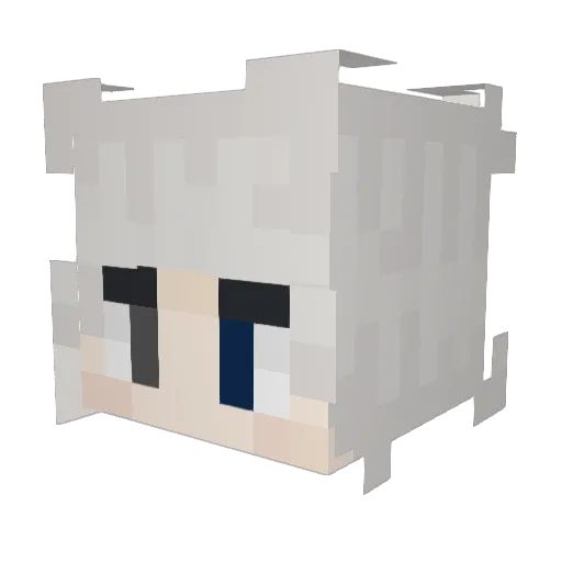 ShawolVibes Minecraft avatar head, 3D render