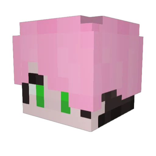 Shawtcakehz Minecraft avatar head, 3D render