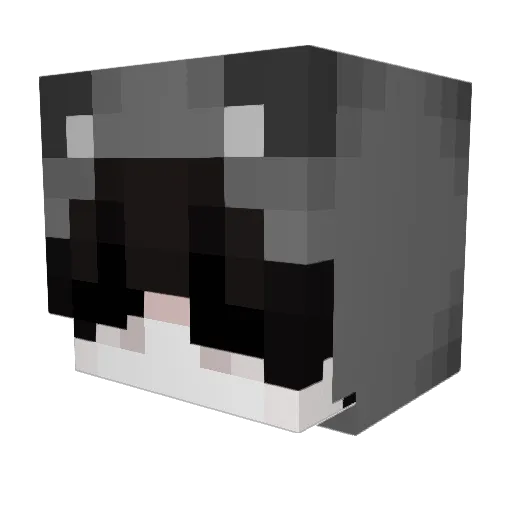 Shawty1928 Minecraft avatar head, 3D render