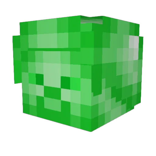 Shay213 Minecraft avatar head, 3D render