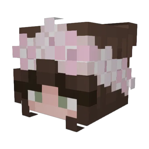 Shay Minecraft avatar head, 3D render