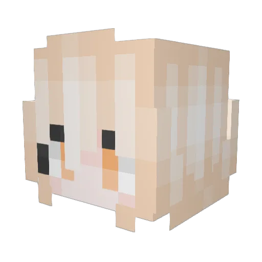 ShayCod Minecraft avatar head, 3D render