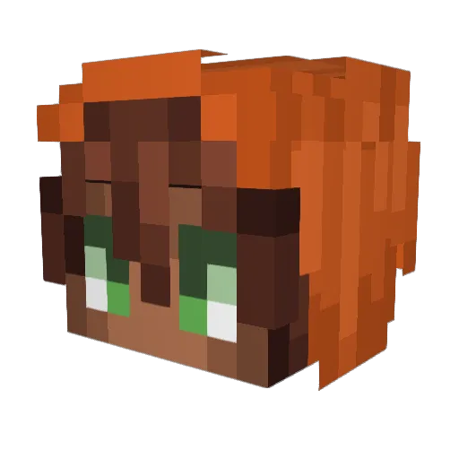 ShayD973 Minecraft avatar head, 3D render