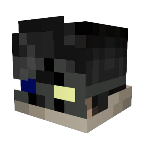 ShayG1 Minecraft avatar head, 3D render
