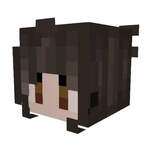 ShayKirbz Minecraft avatar head, 3D render