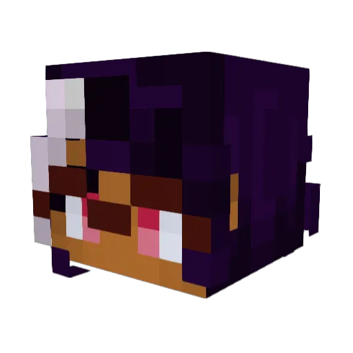 ShayNanagain Minecraft avatar head, 3D render
