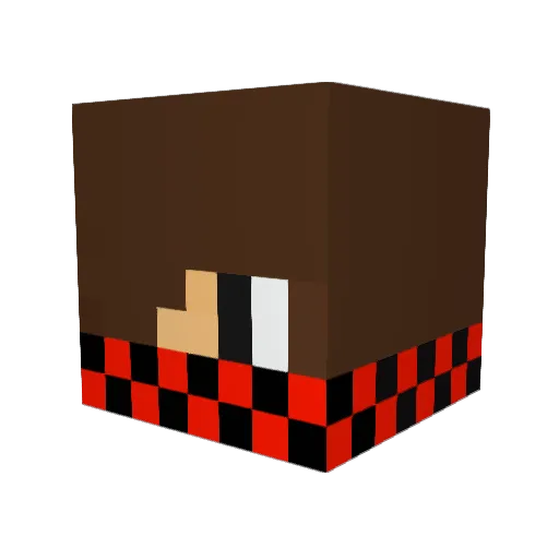 ShayTM1 Minecraft avatar head, 3D render