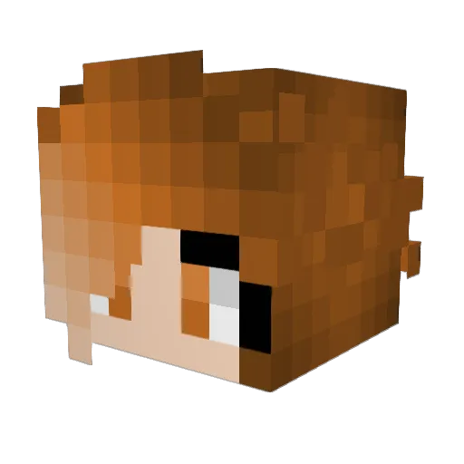 ShayZon_ Minecraft avatar head, 3D render